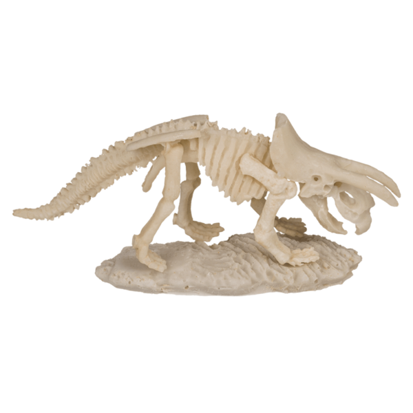 Ausgrabungsset "Dinosaurier 4,5 x 18 cm"