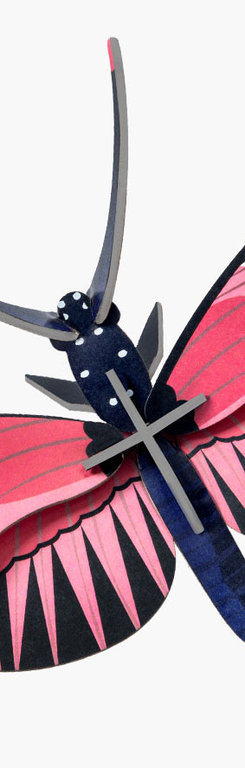Langflügelfalter Schmetterling von Studio Roof
